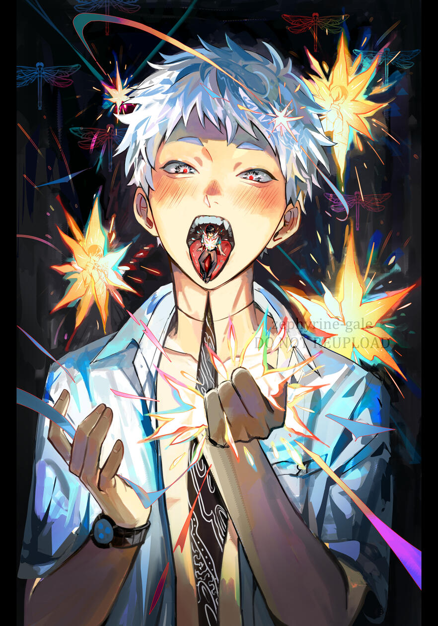 TCG contest rapidash TCG contest rapidash